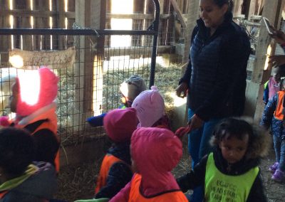 Children at Millers Farm